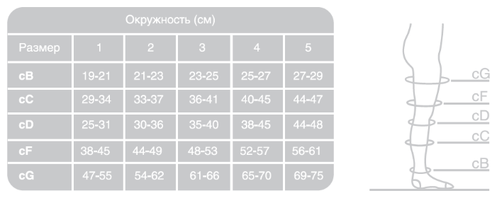 Ergoforma Чулки антиэмболические 1 класс компрессии, р. 2, арт. 217 (20 mm Hg), с отверстием под пальцами, белые, пара, 1 шт.